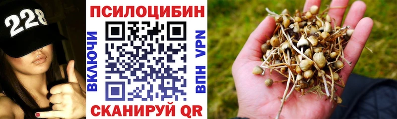 Псилоцибиновые грибы Cubensis закладки Корсаков
