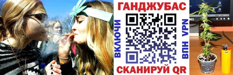 Шишки марихуана план  что такое наркотик  сайты даркнета телеграм  Корсаков 